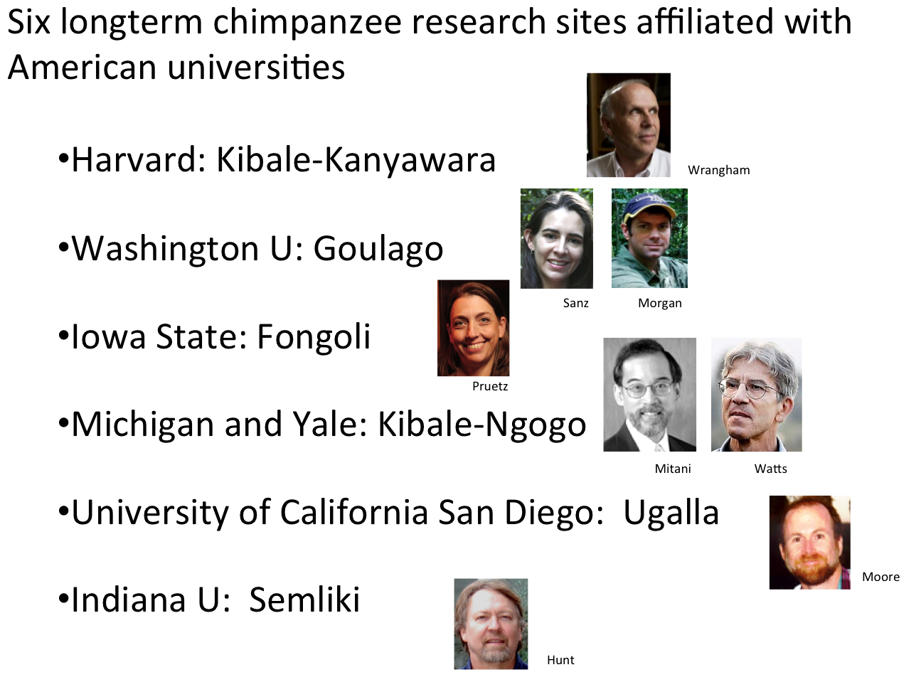 Quick summary of American university chimpanzee study sites