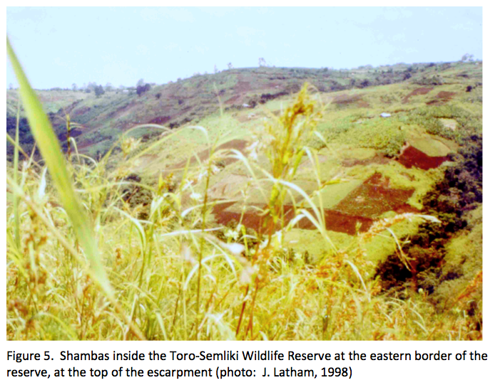 Illegals shambas encroaching on the reserve