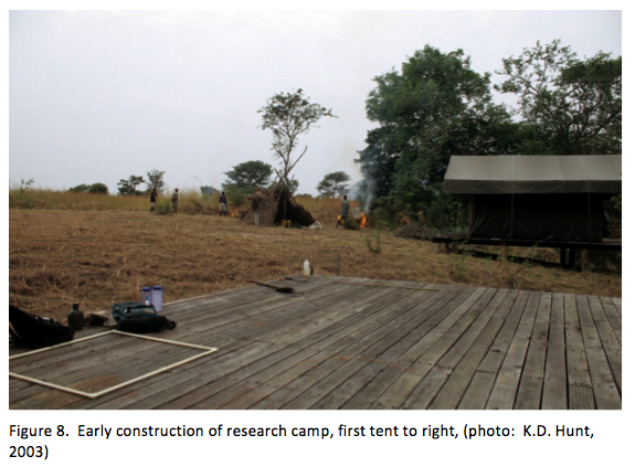 Tent platforms under construction