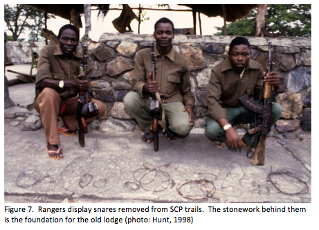 Rangers display snares they have removed from the chimpanzee habitat
